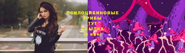 гидропоника Гусь-Хрустальный