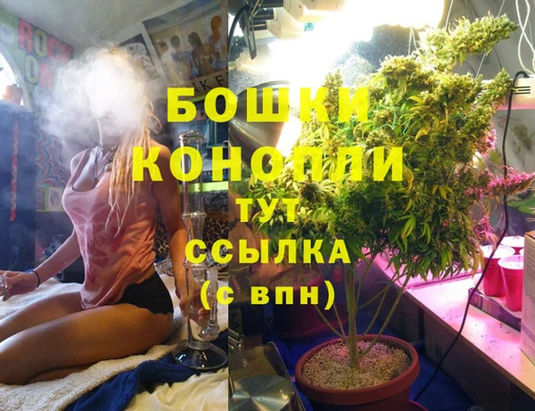 spice Горняк