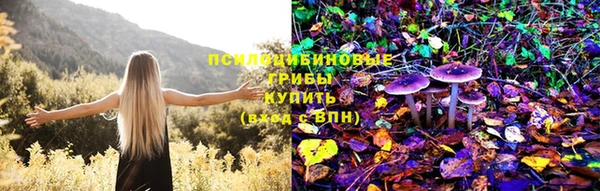 таблы Горнозаводск