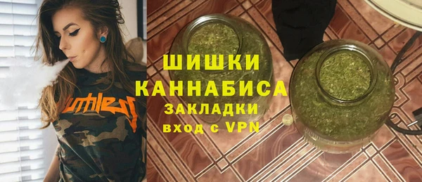 spice Горняк