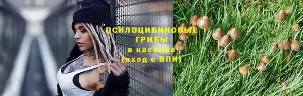 spice Горняк