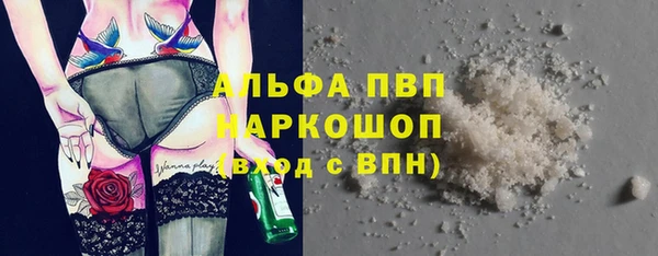 стаф Гусиноозёрск