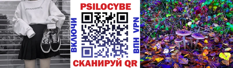 Купить  Острогожск  Галлюциногенные грибы MAGIC MUSHROOMS 
